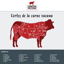 Check spelling or type a new query. Carne Argentina Los Mejores Cortes Tradicionales Y Nuevos