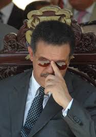 Observatorio Terrenero: El Paradigma Político