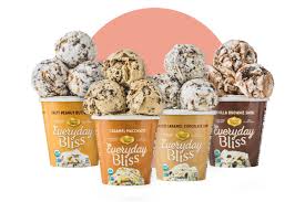 Bliss free download latest version for windows. Everyday Bliss Ice Cream Reviews Info Dairy Free By Coconut Bliss