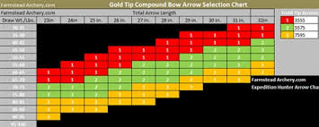 Goldtip Hunter Arrows Dozen