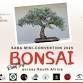 SABA Mini-Convention 2025 event image