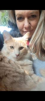 Lost cat found in Buh-Rein drain, seeking owner