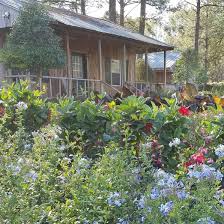 Profile for Lawn Barber Nursery