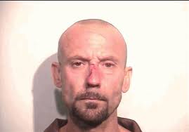 2 arrested in Sylvania Twp. robbery, crash