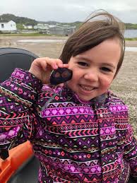 Anyone had strange coloured rocks appear in place of other rocks randomly  throughout their game? I never placed them there 🤷‍♀️ TIA