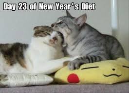 Funny Animal Pictures Of The Day 29 Pics Funny Animal Pictures Funny Animals Funny Cats