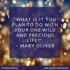 What Is It You Plan To Do With Your One Wild And Precious Life Mary Oliver Jane Taylor Transition Coach Engagement Coach Wellbeing Coaching Mindful Self Compassion