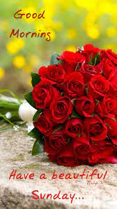 Maybe you would like to learn more about one of these? Pin By Liang Loithay On Good Morning Good Morning Flowers Good Morning Happy Sunday Happy Sunday Morning