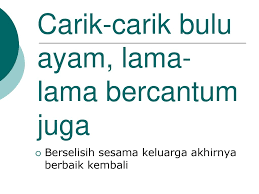 Salah satu wakil daerah kuala langat , selangor. Carik Carik Bulu Ayam Lama Lama Bercantum Juga Manahasie
