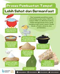 Proses Pembuatan Tempe Lebih Sehat Dan Bermanfaat Indonesia Baik