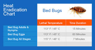 heat treatments bed bugs other pests pest control