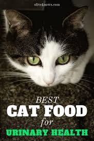 Best Cat Food For Urinary Health Cat Allergies Cat Food Cat Parenting