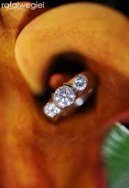 Nikon 105mm F 2 8 G Af S Vr Micro Nikkor Camera Nikon D3 Lens Af S Vr Micro Nikkor 105mm F 2 8g If Ed Exposure 1 500 Fnumber 4 5 Focal Length 105 Iso 500 Jewelry Rings Jewelry Wedding Rings