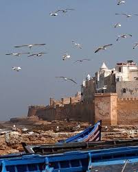 Visit The Beach And The Famous Essaouira Port In One Day From Marrakech Let Yourself Be Guided In The Port Then Destinations Maroc Essaouira Maroc Marrakech