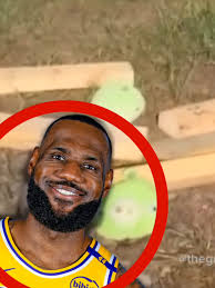 Angry Birds Lebron Shadow