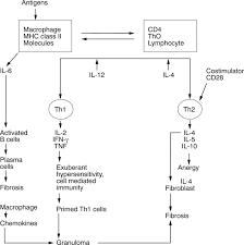 Maybe you would like to learn more about one of these? A Clinicopathological Classification Of Granulomatous Disorders Postgraduate Medical Journal
