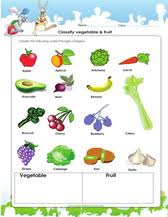 4th Grade Science Worksheets Pdf Printable