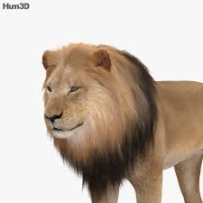 Lion Hd Lion 3d Model Animals