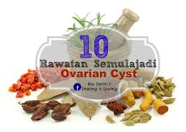 Kitaran haid tak teratur, sekejap ada sekejap tiada, ada ke ubat untuk merawatnya? 10 Rawatan Semulajadi Ovarian Cyst Yang Perlu Wanita Tahu Diari Ibuzarith