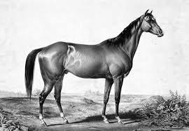 Maybe you would like to learn more about one of these? Real Stayers