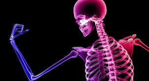 Human body questions and answers 2021. Where On The Body Is The Hyoid Bone Trivia Questions Quizzclub