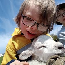 Hi, has anyone got or know where I can find some lessons