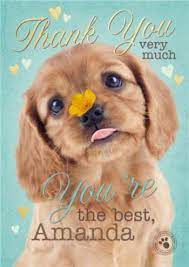 Free online cute puppy thanks ecards on thank you. Cute Puppy Personalised Thank You Card Moonpig