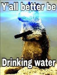 Pin On Water