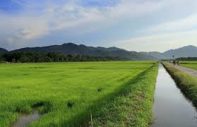 Di dalam artikel ini, kami dah kumpulkan hampir 30 tempat menarik di penang 28. 31 Tempat Menarik Di Penang Yang Percuma Listikel Com