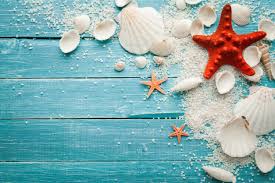 Check spelling or type a new query. Ces Diy Inspirants A Faire Avec Des Coquillages Repere Sur Pinterest