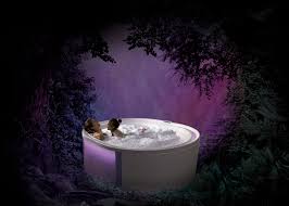 Bei einer whirlwanne bedürfen die düsen jedoch einer anderen reinigung. Hoesch Whirlwannen