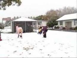 Check out these 7 of the best things to do in the cold, frosty armidale, new south wales. Snow In Armidale Northern Tablelands May 08 Youtube