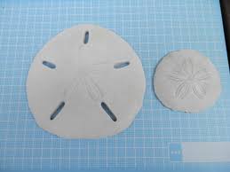 「カシパン」の画像検索結果