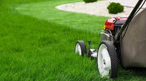 About 350 are from lawn starter houston and lawnstarter austin. Austin Based Lawnstarter Rakes In The Green 10 5m Worth Austin Business Journal