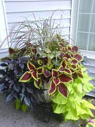 40 Diy Flower Garden Planter And Container Ideas Simphome Full Sun Container Plants Container Plants Container Gardening Vegetables