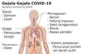 Signs of lung cancer in my dog : Berkas Symptoms Of Coronavirus Disease 2019 In Indonesian Png Wikipedia Bahasa Indonesia Ensiklopedia Bebas