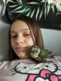 Does a green cheek conure poop excessively?