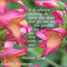 Garden Sayings Garden Quotes