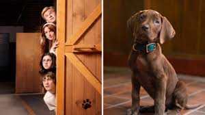 Netflix revela primeira imagem de Scooby-Doo em nova série live-action
