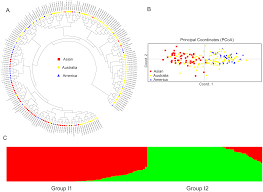 Vacancy for merchandising & planning (female). 0rsxyxqdb22 Qm
