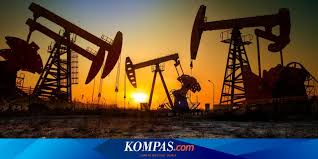 Cara memesan produk minyak nilam kami. Harga Minyak Dunia Minus Ini Daftar Harga Bbm Pertamina Shell Dan Total Halaman All Kompas Com