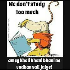 Here Is Me During Exams Thegujjugyan Gujarat Gujarati Gujju Pic By Miss Purohit Tag All Bhaneshri Ppl Funny Puns Funny Quotes Sassy Quotes
