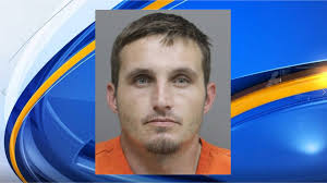 Youngsville student honored in Congress, wins art contest