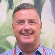 How to share insights across teams with Luiza Fabreti and Christopher  Pillsbury