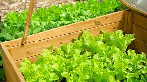 Die vorkultur verkürzt die standzeit im mit vlies geschützten beet um wochen, im frühbeet kannst du auch die aussaat um wochen vorverlegen. Fruhbeet Planen Anlegen Und Bepflanzen So Funktioniert S