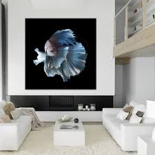 A forum community dedicated to betta fish owners and enthusiasts. Abstract Animal Betta Fish Canvas Hd Prints Pictures Wall Art Posters Paintings Home Decor For Living Room Apartment Frame Mural Painting Calligraphy Aliexpress
