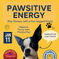 Practice Positive Play at Pawsitive Therapy Workshop