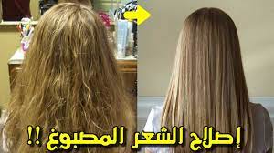 أفضل زيت للشعر المصبوغ علاج الشعر التالف تجربتى مع افضل حمام زيت على الاطلاق Youtube