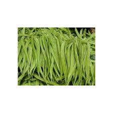 Image result for Cyamopsis