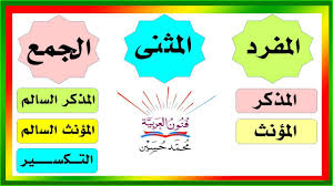 يرتب غرفته, يلعب بكرته, يلبس ملابسه, يلون بألوانه, يحمل حقيبته, هي ) ( مؤنث): ÙÙ†ÙˆÙ† Ø§Ù„Ø¹Ø±Ø¨ÙŠØ© Ø§Ù„Ù…ÙØ±Ø¯ Ùˆ Ø§Ù„Ù…Ø«Ù†Ù‰ Ùˆ Ø§Ù„Ø¬Ù…Ø¹ Ø¨Ø£Ù†ÙˆØ§Ø¹Ù‡ Ø§Ù„Ù…Ø°ÙƒØ± Ø§Ù„Ø³Ø§Ù„Ù… Ùˆ Ø§Ù„Ù…Ø¤Ù†Ø« Ø§Ù„Ø³Ø§Ù„Ù… Ùˆ Ø§Ù„ØªÙƒØ³ÙŠØ± Ø³Ù„Ø³Ù„Ø© ØªØ¹Ù„Ù… Ø§Ù„Ø¥Ø¹Ø±Ø§Ø¨ 4 Facebook